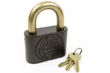 Мотор Сич ВС ДЧ "Глобус"